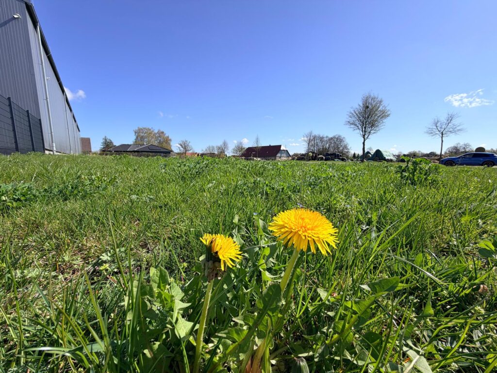 penkow 5