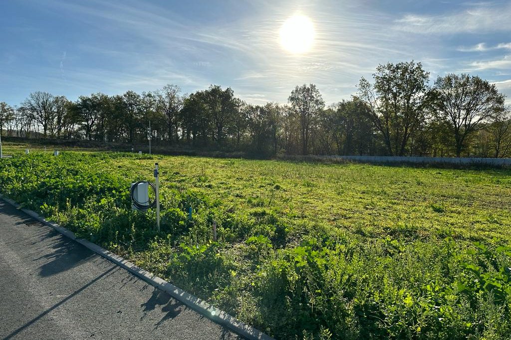 erschlossenes Wohnbaugebiet Westewitz